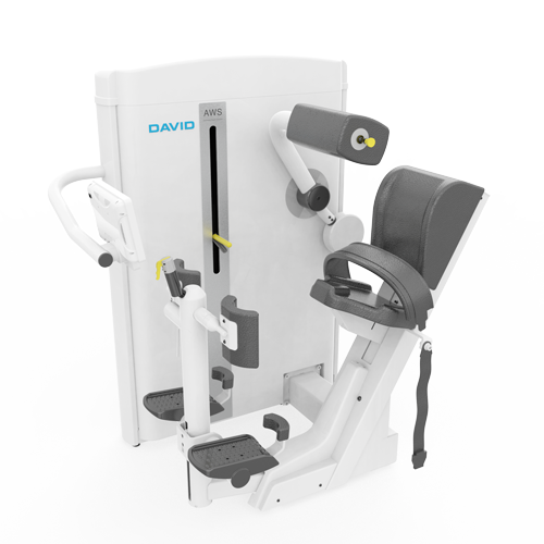 G110 – Back Extension